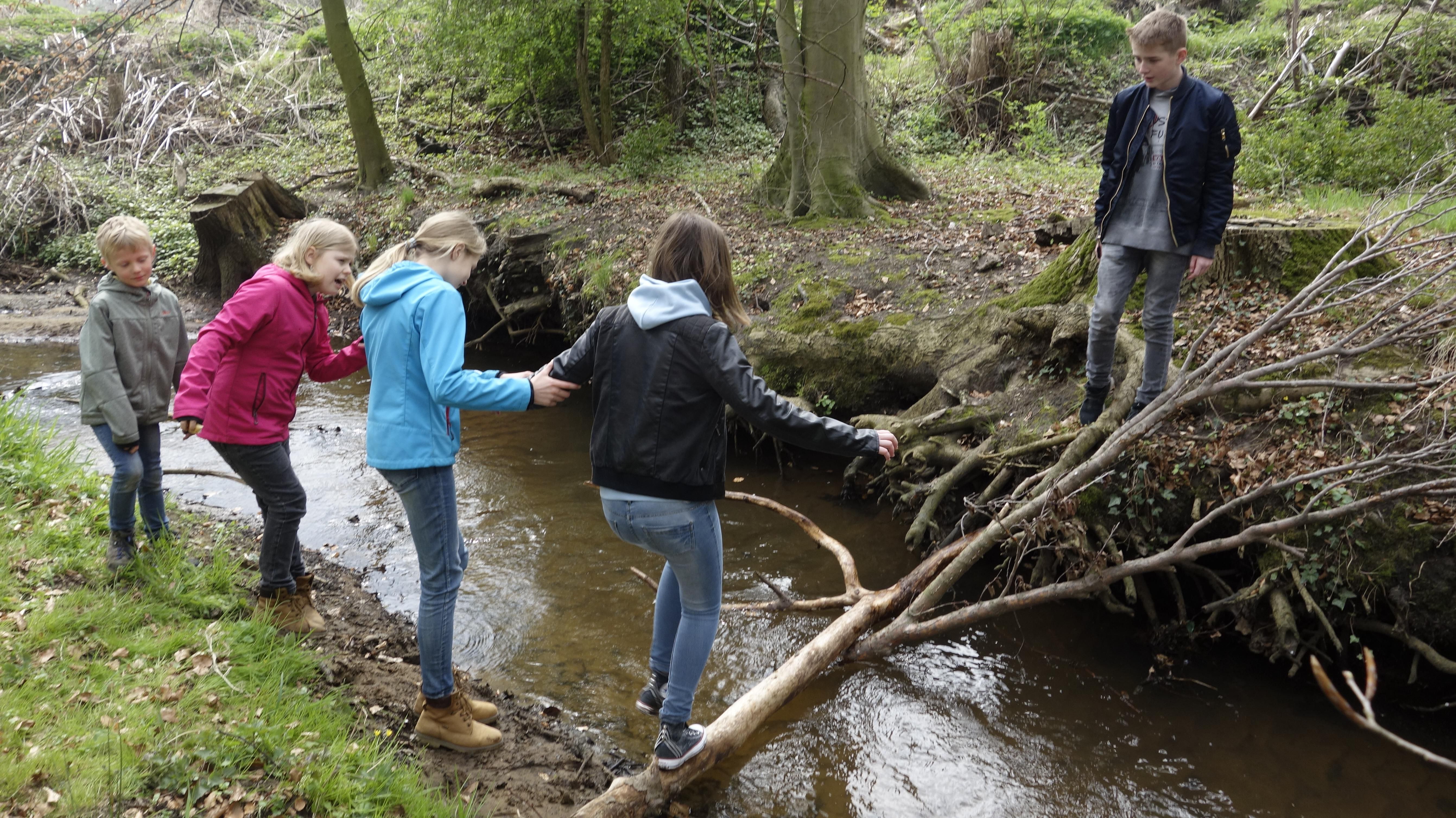 Brueckenbau_am_Fluss.JPG